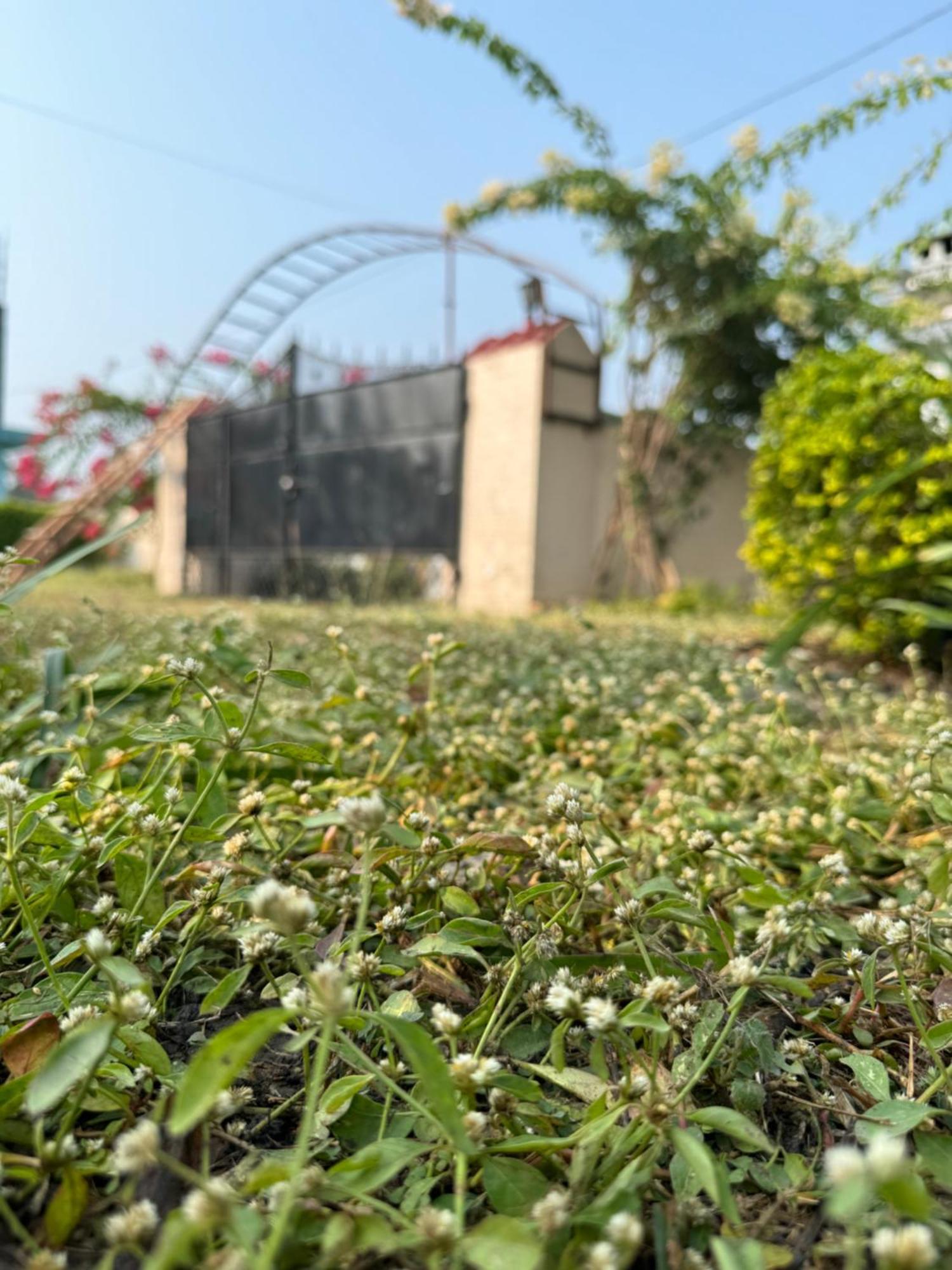 The Bougainvillea Cottage Farmstay Near Dehradun , 2 Bedroom Private Cottage Next To Fields And Orchards With Hill Views Exteriér fotografie